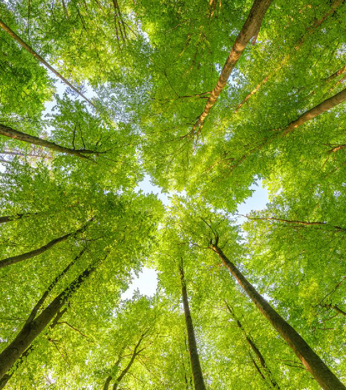 plumbco_sustainability_1110x1250px